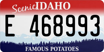ID license plate E468993