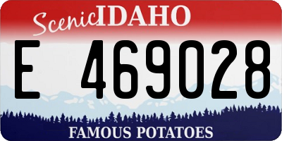 ID license plate E469028