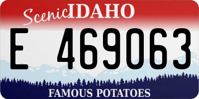 ID license plate E469063