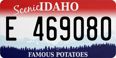 ID license plate E469080