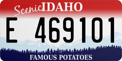 ID license plate E469101