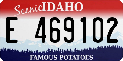 ID license plate E469102