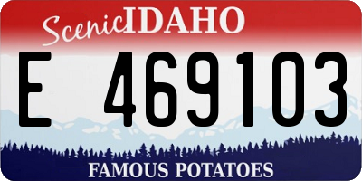 ID license plate E469103