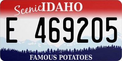 ID license plate E469205