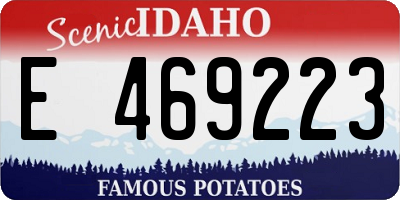 ID license plate E469223