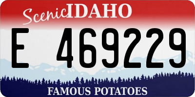 ID license plate E469229
