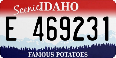 ID license plate E469231