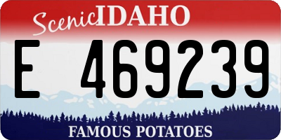 ID license plate E469239