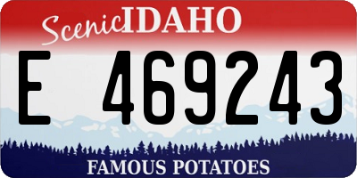 ID license plate E469243