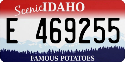 ID license plate E469255