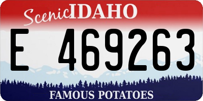 ID license plate E469263