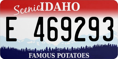 ID license plate E469293