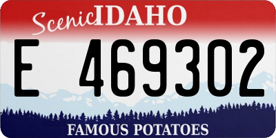 ID license plate E469302