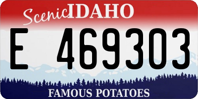 ID license plate E469303