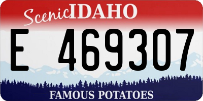ID license plate E469307