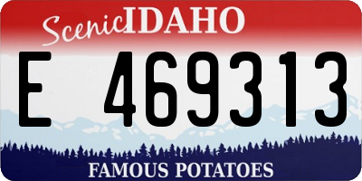 ID license plate E469313