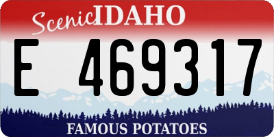 ID license plate E469317
