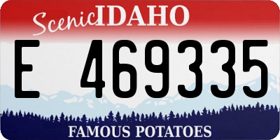 ID license plate E469335