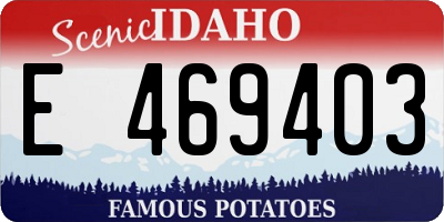 ID license plate E469403
