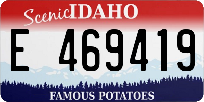 ID license plate E469419