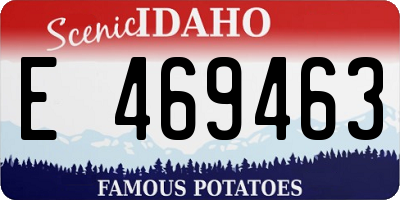 ID license plate E469463