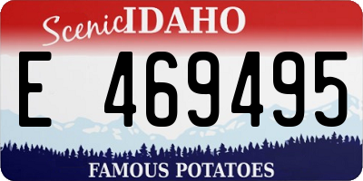 ID license plate E469495