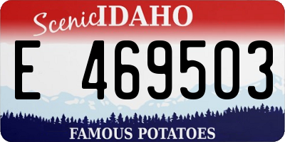 ID license plate E469503