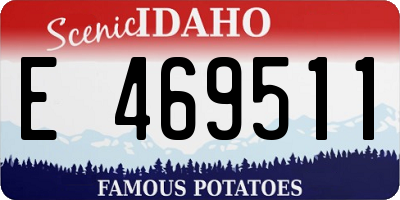 ID license plate E469511
