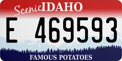 ID license plate E469593