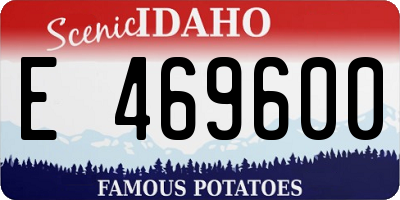 ID license plate E469600