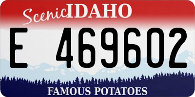 ID license plate E469602