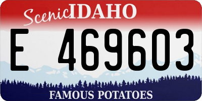 ID license plate E469603