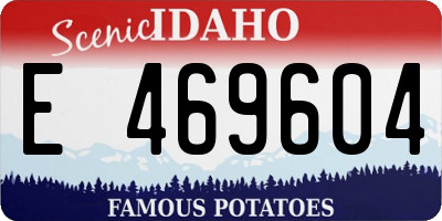 ID license plate E469604