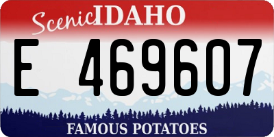 ID license plate E469607