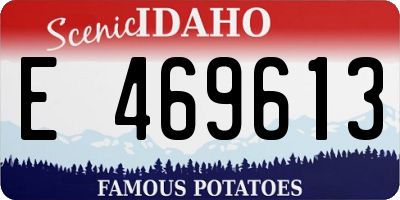 ID license plate E469613