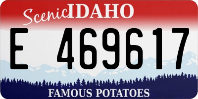 ID license plate E469617