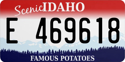 ID license plate E469618