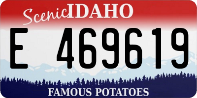 ID license plate E469619