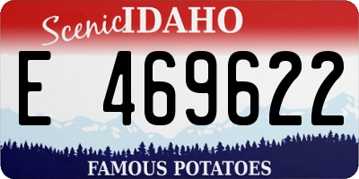 ID license plate E469622