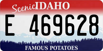 ID license plate E469628