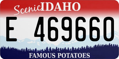 ID license plate E469660