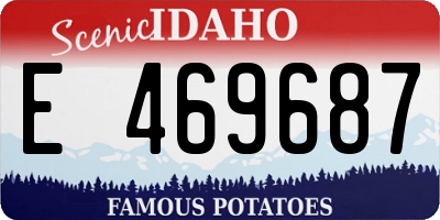 ID license plate E469687