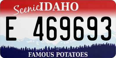 ID license plate E469693