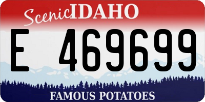 ID license plate E469699