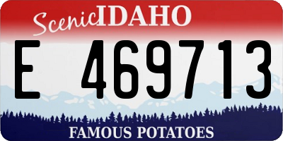 ID license plate E469713