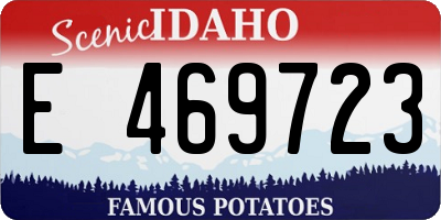ID license plate E469723