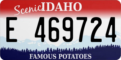 ID license plate E469724