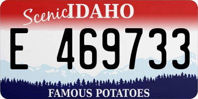 ID license plate E469733