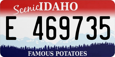 ID license plate E469735
