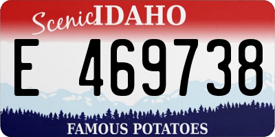 ID license plate E469738
